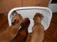 /album/spolecne-foto/mnam-salatek-jpg/